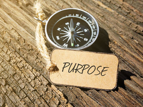 What's Your Purpose?